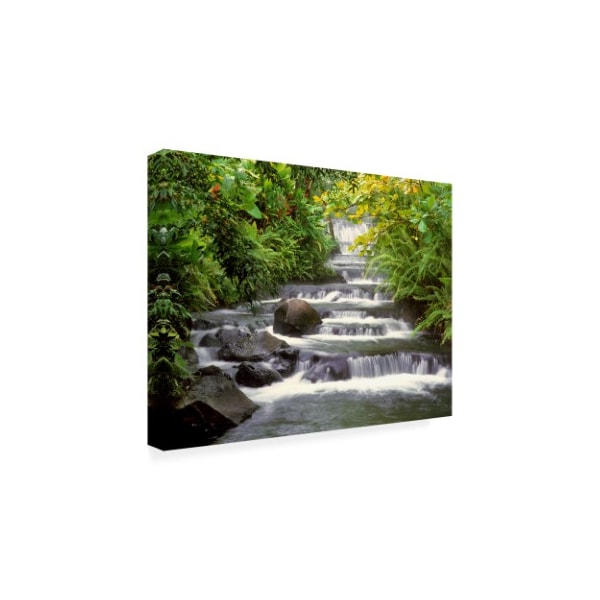 Monte Nagler 'Terraced Falls' Canvas Art,24x32